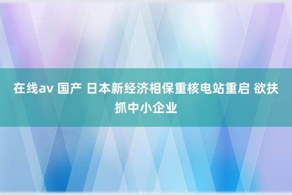 在线av 国产 日本新经济相保重核电站重启 欲扶抓中小企业